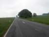 ochtendwandeling4_small.jpg