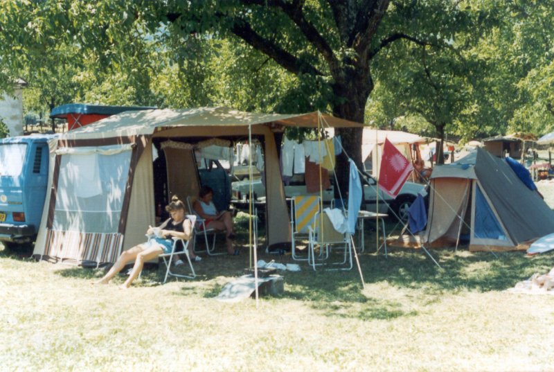 argentatonderdenotenbomen.jpg