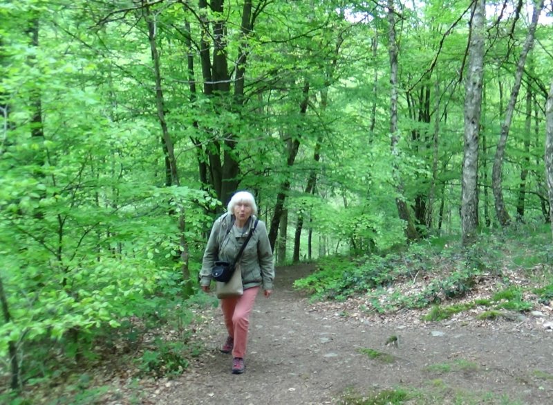 wandelingbarragenisramont11.jpg