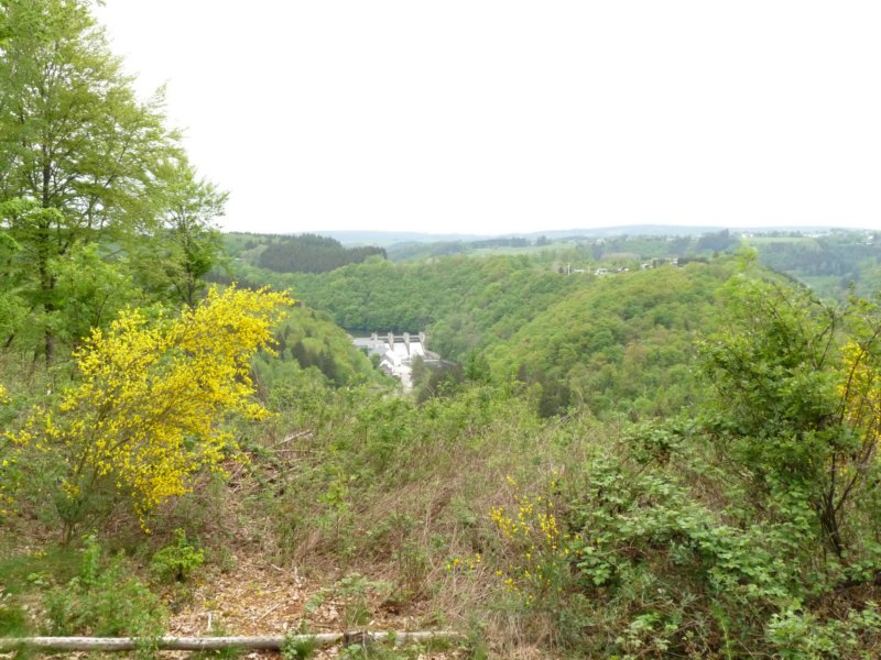 wandelingbarragenisramont18.jpg