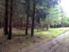 wandelingbarragenisramont20_small.jpg