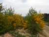 wandelingnisramont12_small.jpg
