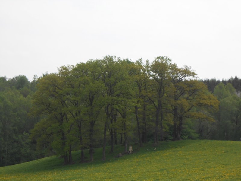 wandelingnisramont14.jpg