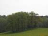 wandelingnisramont14_small.jpg
