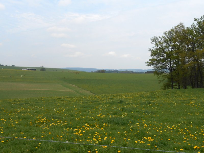 wandelingnisramont15.jpg