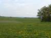 wandelingnisramont15_small.jpg