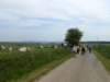 wandelingnisramont6_small.jpg