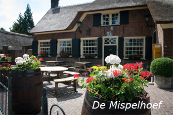Mispelhoef