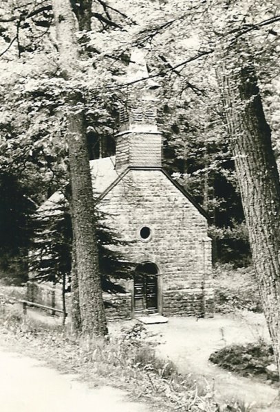 eifelgerolsteinwandeling9.jpg