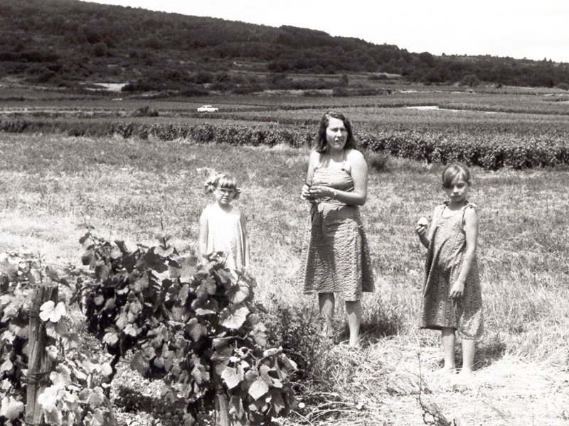 bourgognedaroiscotedor.jpg