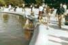 parijsjardindestuileries3_small.jpg