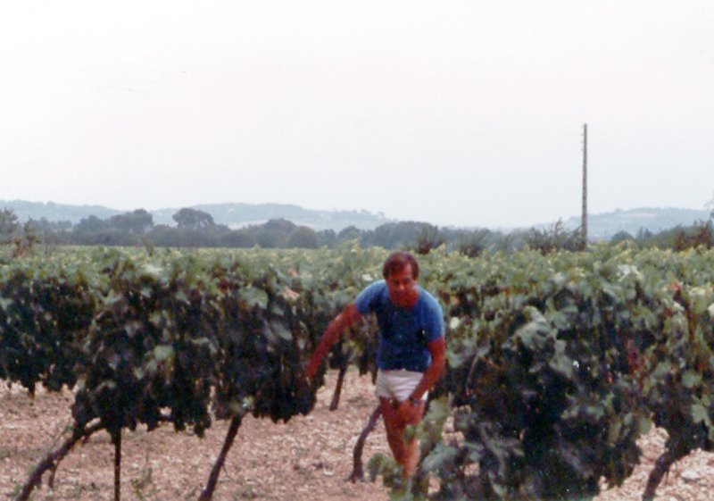 luberonmallemortevinoble1.jpg