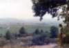 languedocvillerougelacremade1_small.jpg