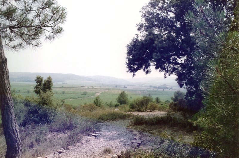 languedocvillerougelacremade2.jpg