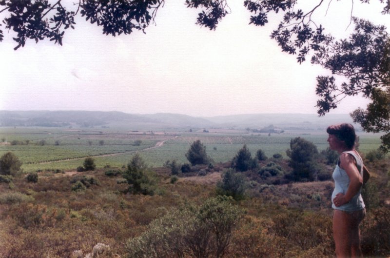 languedocvillerougelacremade3.jpg