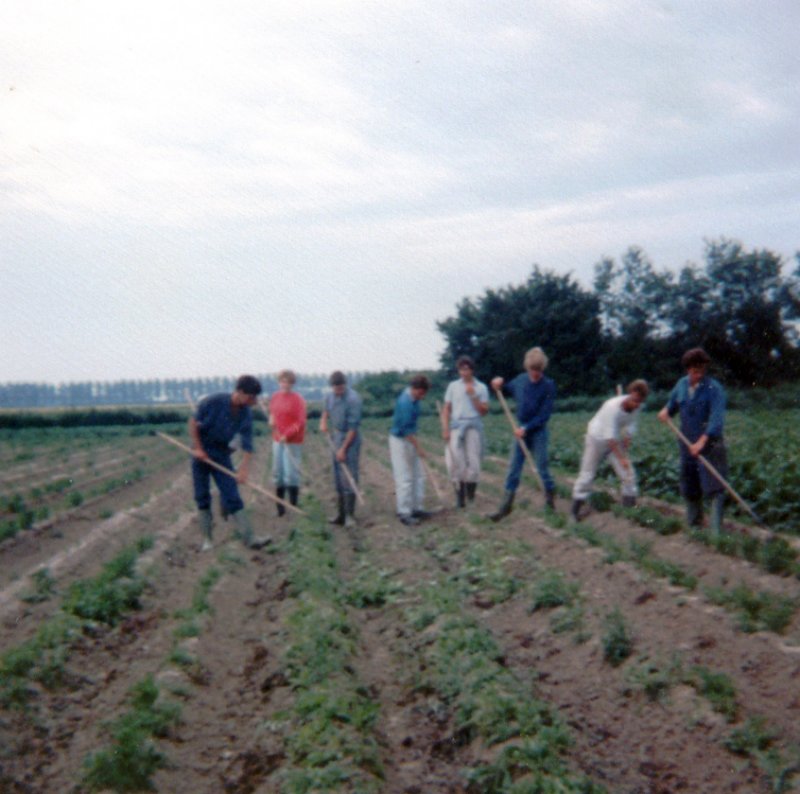 zeelandloverendalesochtendswerken.jpg