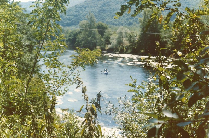 argentatlangsdeoeversvandedordogne.jpg