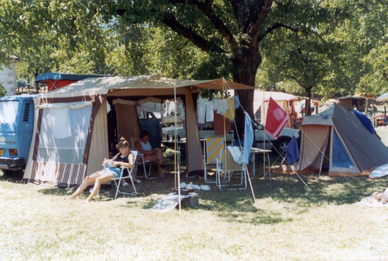 argentatonderdenotenbomen.jpg