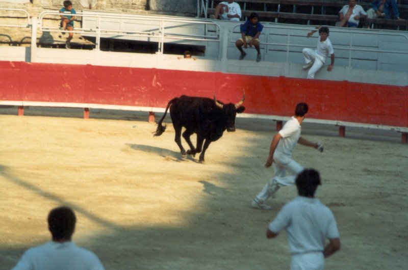 arlesarenarazateurs3.jpg