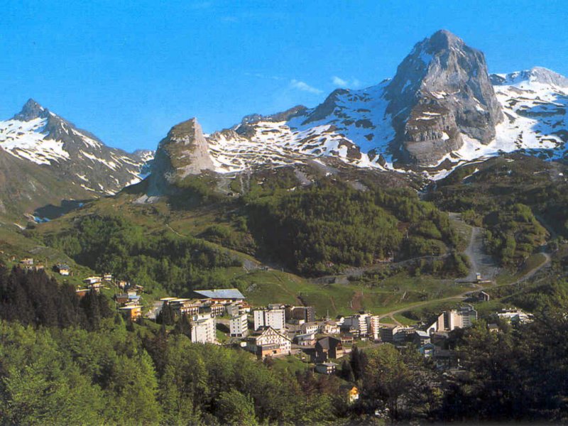 pyreneespicdepenemeda.jpg