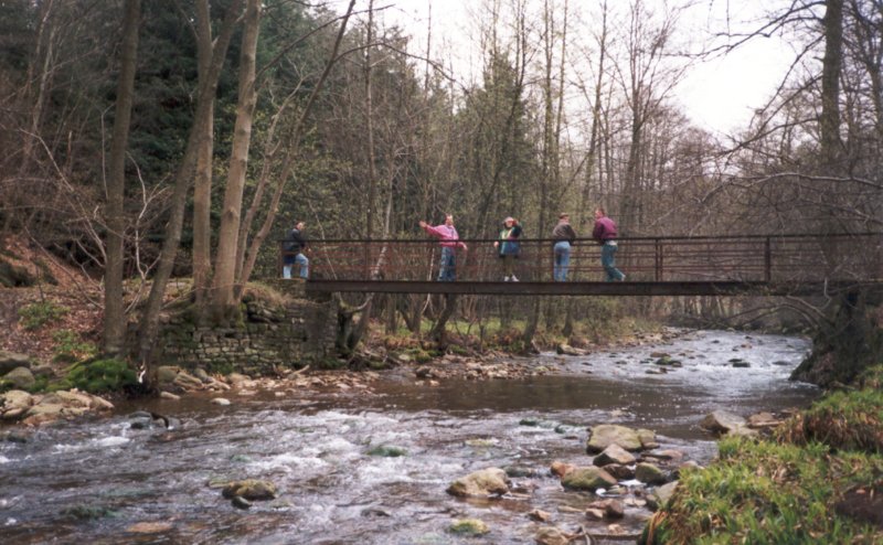 wandeling3.jpg