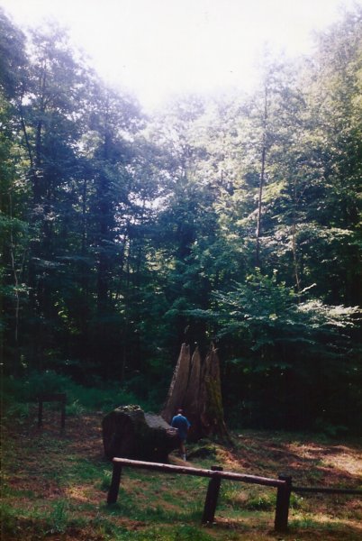 omgevingsignylabbayelagrandeforet.jpg