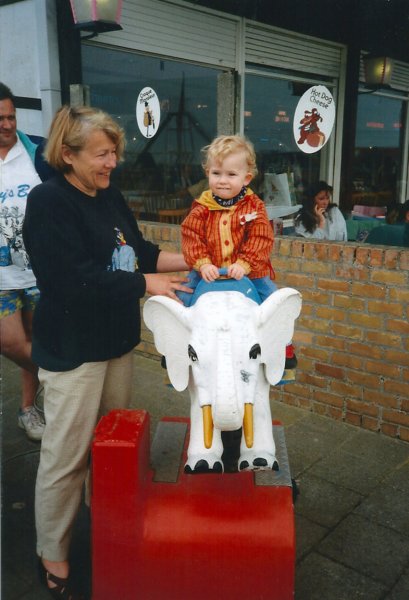 aopdeolifant.jpg