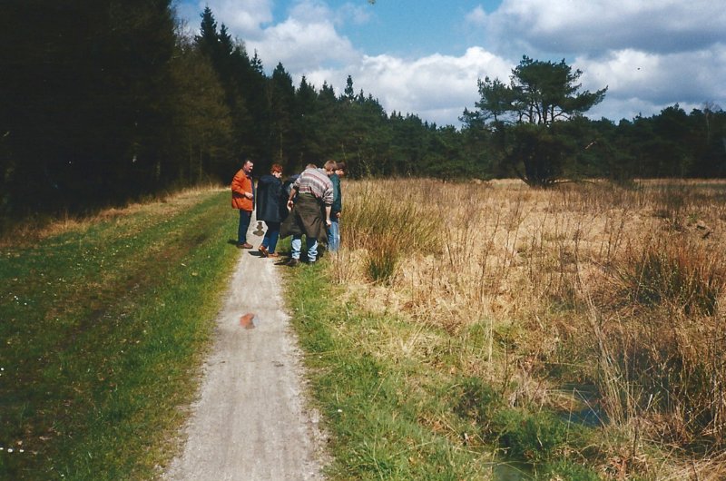 gewandeldwerderook.jpg