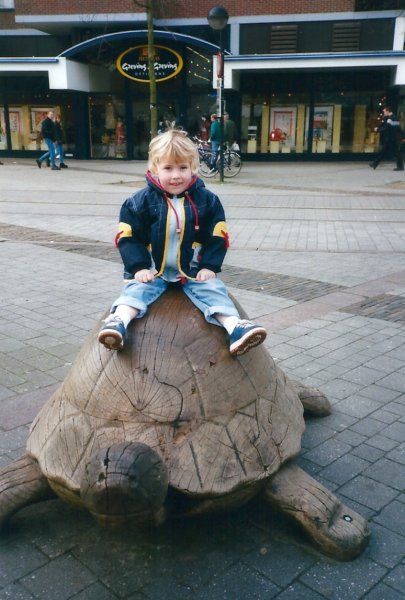 ingeopeengroteschildpad.jpg