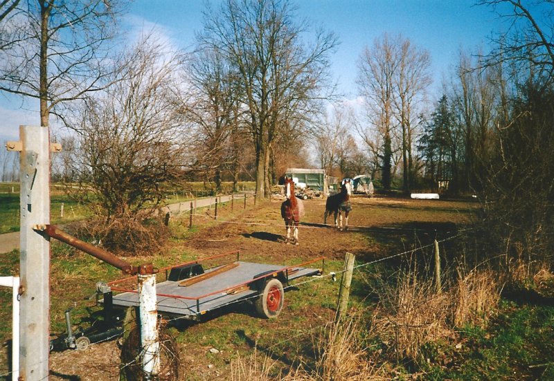 tuinmetpaarden.jpg