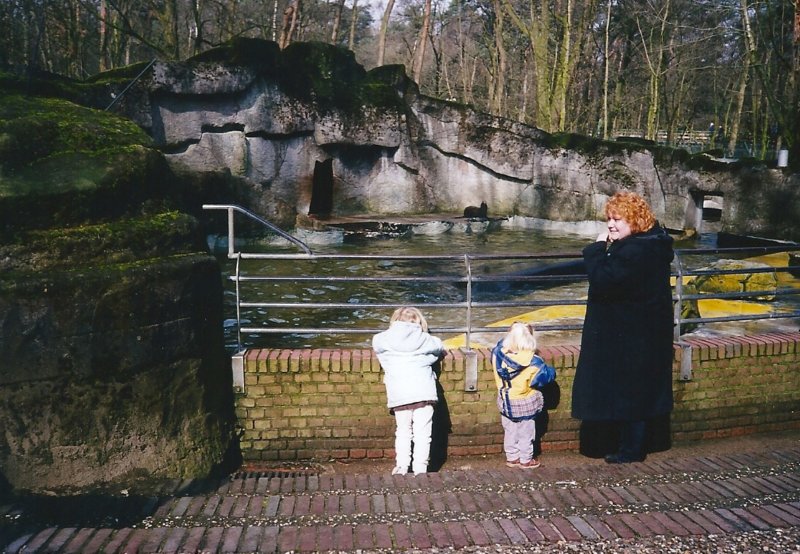 kinderboerderij7.jpg