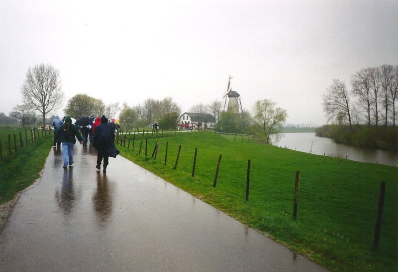 regeninbeesd.jpg