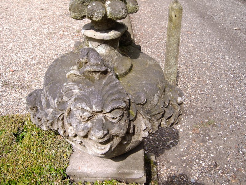 wandelingbijzonderhoofd.jpg