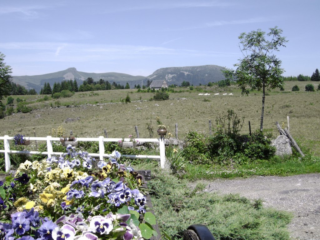 tourdoordeauvergne.jpg