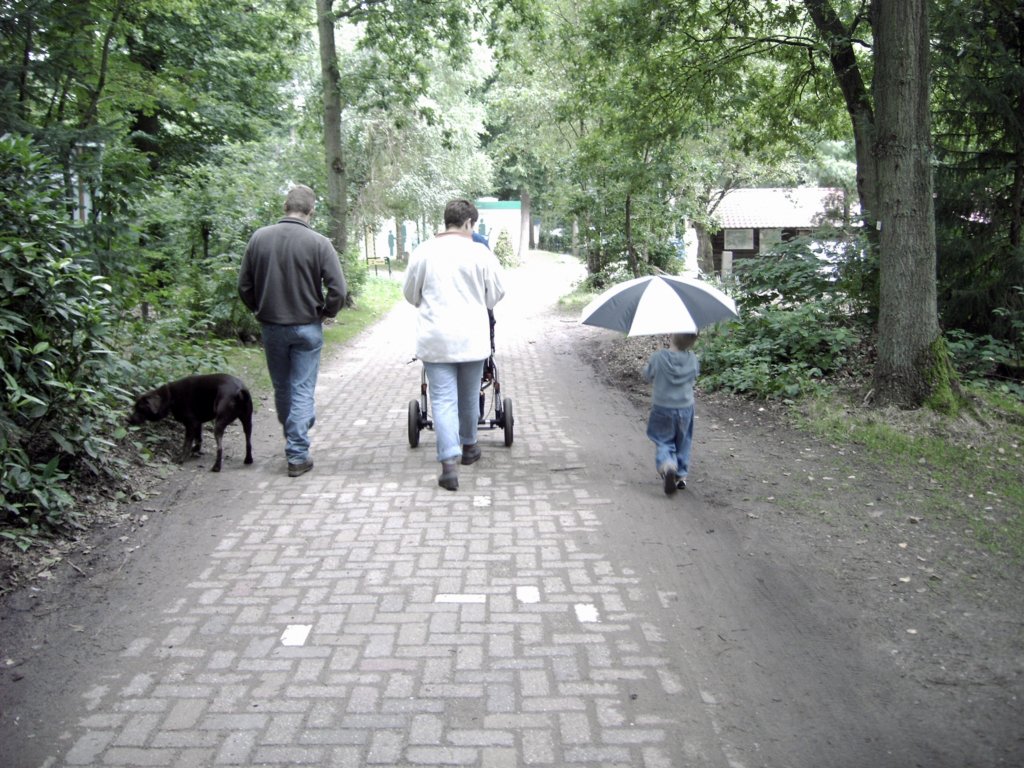 wandeleninomgeving.jpg