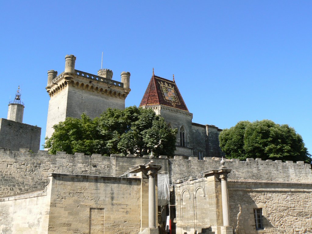 buzesleduche.jpg